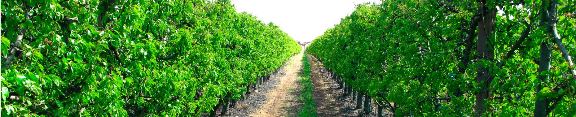 Manuels d'instructions