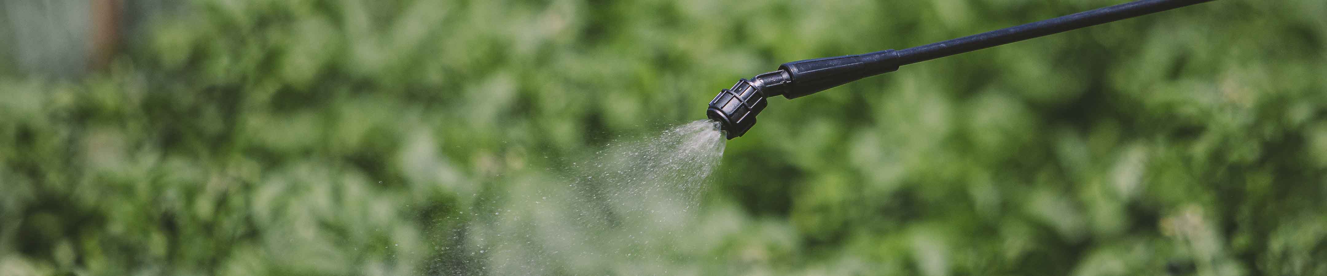 BOQUILHAS MATABI BOQUILHAS MATABI