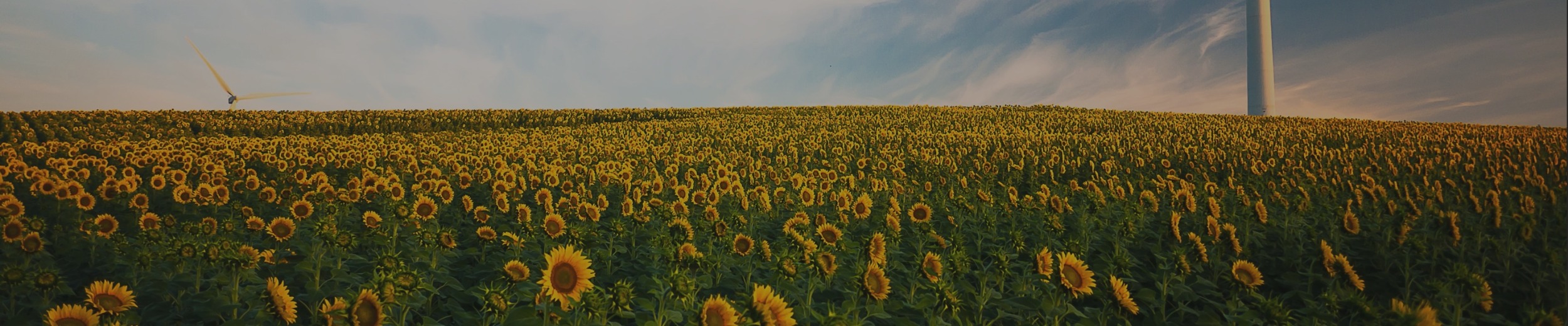 Nachhaltiges Engagement  Nachhaltiges Engagement