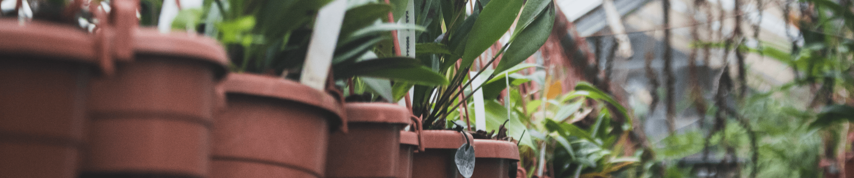 Vertragshändler sein Vertragshändler sein