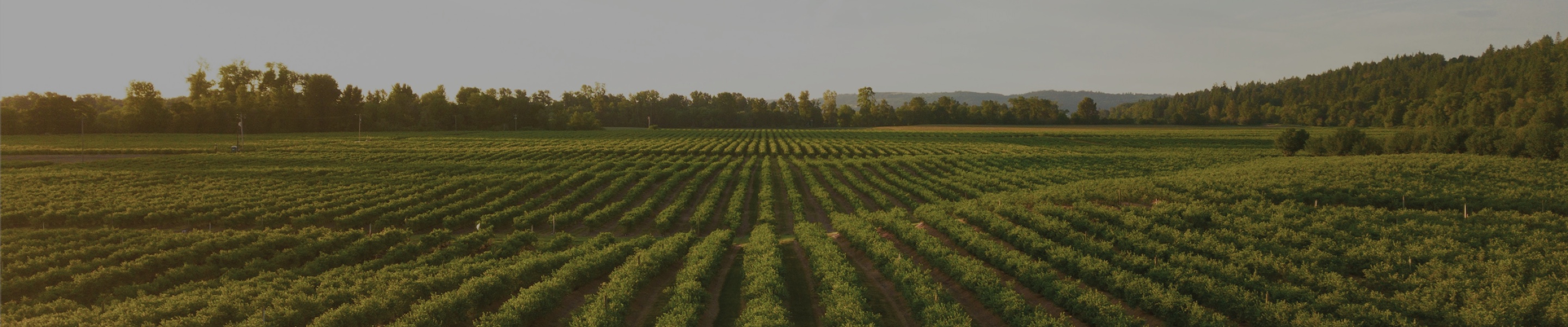 SOBRE NÓS SOBRE NÓS