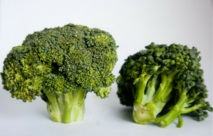 brocoli