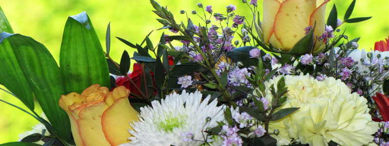 7 flores para regalar el día de la madre y otras opciones