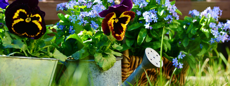 ¿Cómo cuidamos el jardín en Abril?