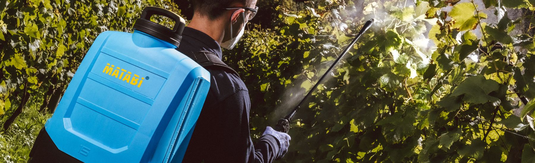 Septiembre a la vuelta de la esquina: cómo preparar la huerta para la nueva temporada