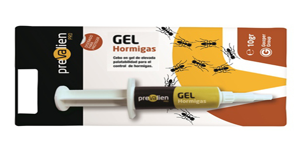 Cómo eliminar hormigas