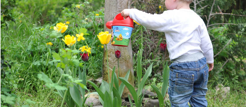Cómo introducir a los niños en el huerto y jardín