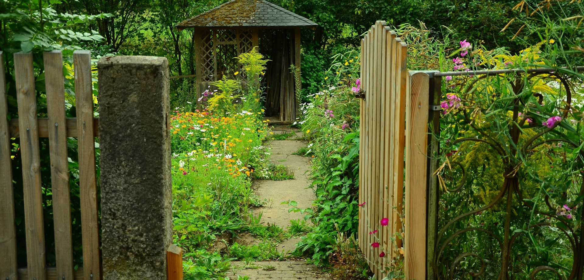 CÓMO CUIDAR TU JARDIN EN INVIERNO