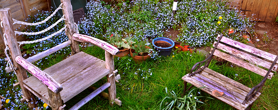Le jardin, votre petit paradis