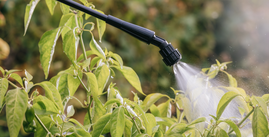 Pulvérisation précise et homogène pour protéger vos plantes
